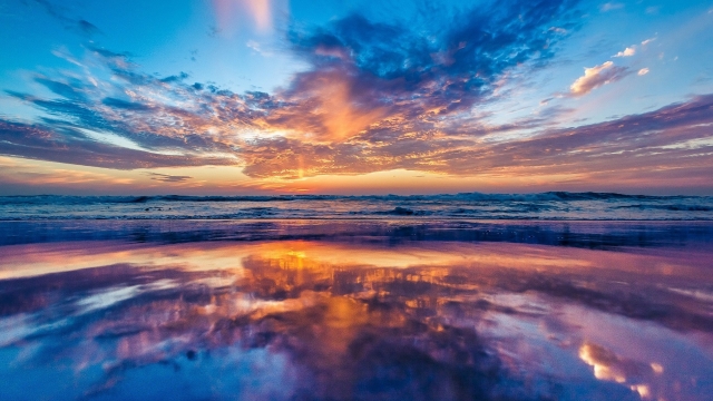 安博体育公司：手机摄影拍乒乓球台