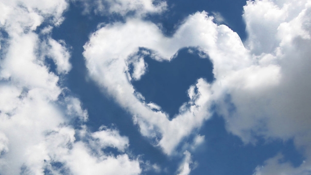 安博体育公司：室内无道具健身